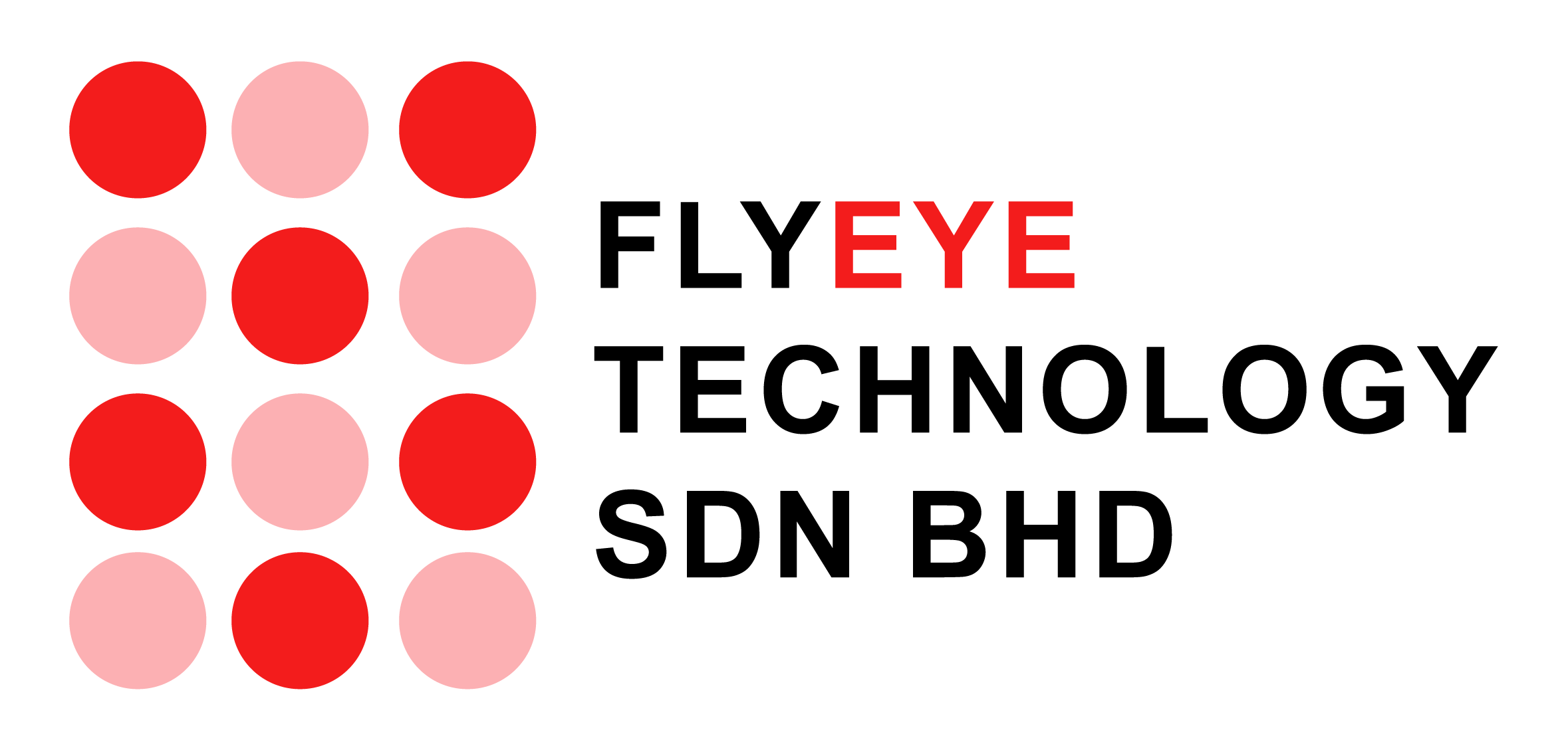 FlyEye Logo